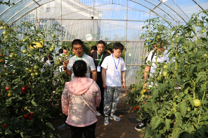 微信图片_20240815091721